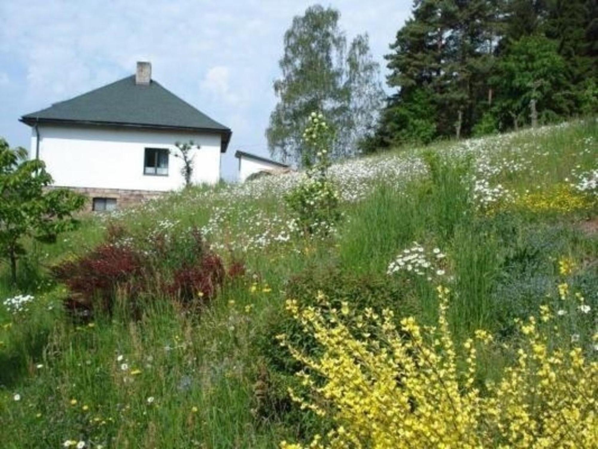 Vila Ein Ferienhaus Mit Terrasse Und Garten Male Svatonovice Exteriér fotografie